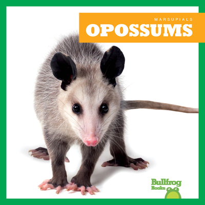 Opossums B0DCHHTCMD Book Cover
