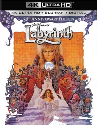 Labyrinth            Book Cover