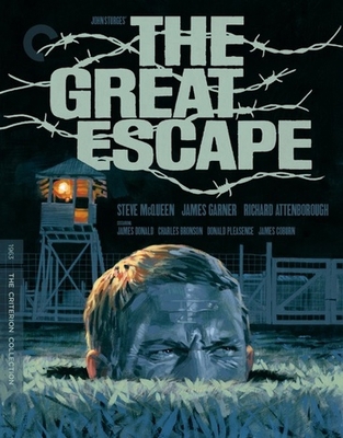 The Great Escape            Book Cover