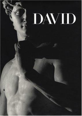 Michelangelo's David: From Symbol to Myth 1903973996 Book Cover