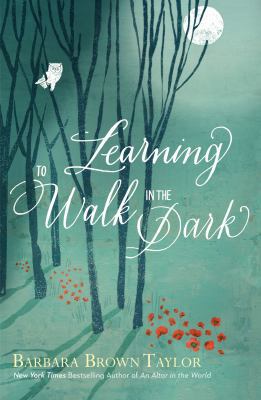 Learning to Walk in the Dark: Because God Often... 1848257759 Book Cover