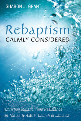 Rebaptism Calmly Considered: Christian Initiati... B07Y1X5L3W Book Cover