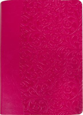 Everyday Life Bible-Am 1455561134 Book Cover