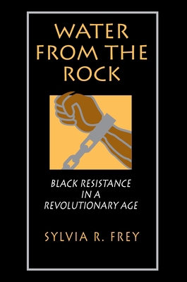 Water from the Rock: Black Resistance in a Revo... 0691047847 Book Cover