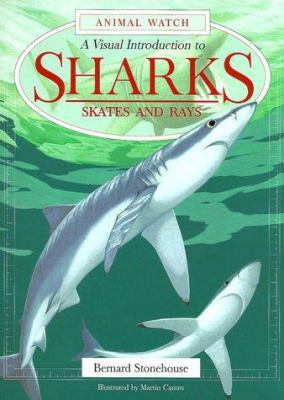 A Visual Introduction to Sharks: Skates and Ray... 0816039240 Book Cover