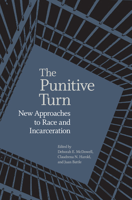 Punitive Turn: New Approaches to Race and Incar... 081395147X Book Cover