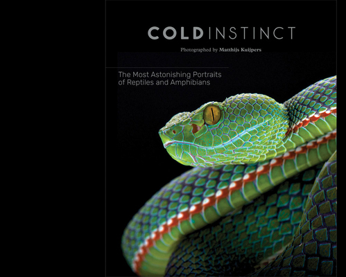 Matthijs Kuijpers: Cold Instinct 8857242595 Book Cover