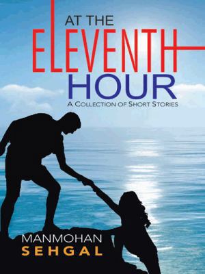 At the Eleventh Hour 148282003X Book Cover