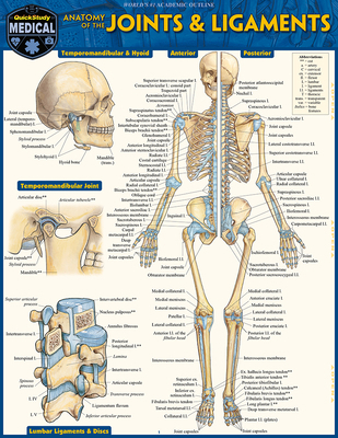 Anatomy of Joints & Ligaments: A Quickstudy Lam... 1423251555 Book Cover