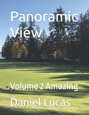 Panoramic View: Volume 2 Amazing            Book Cover