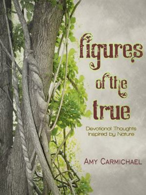 Figures of the True: Devotional Thoughts Inspir... 1936143828 Book Cover