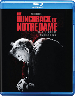 The Hunchback of Notre Dame            Book Cover