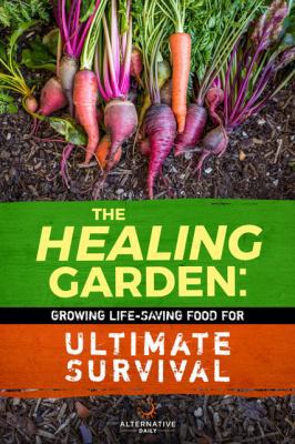 The Secret Garden: Growing Delicious Food For E... 1944462074 Book Cover