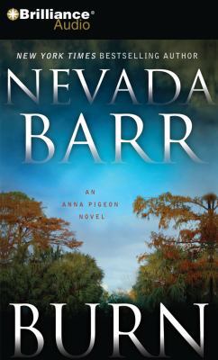 Burn 1441816089 Book Cover