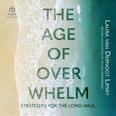 The Age of Overwhelm: Strategies for the Long Haul B0F41KBS2D Book Cover