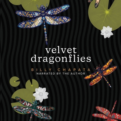 Velvet Dragonflies B0C7D1D1ND Book Cover