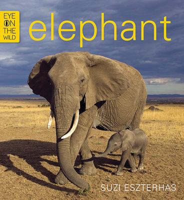Elephant 1847806554 Book Cover