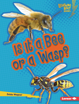 Is It a Bee or a Wasp? B0H4MH35H4 Book Cover