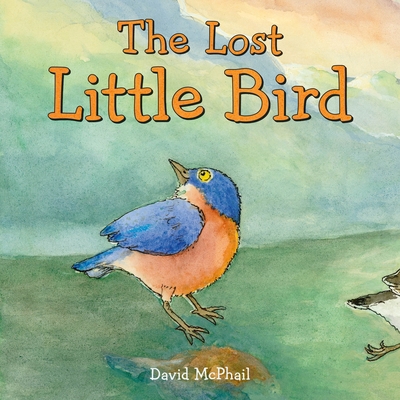 The Lost Little Bird 1250222915 Book Cover