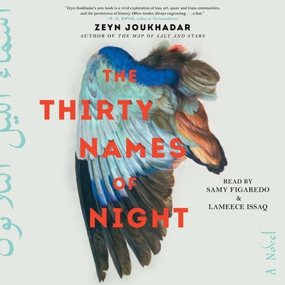 The Thirty Names of Night 1797111841 Book Cover