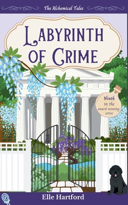 Labyrinth of Crime B0FSPQM984 Book Cover