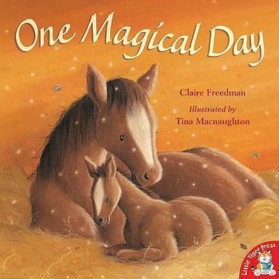 One Magical Day 1845064577 Book Cover