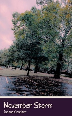 November Storm B0DXPDX4D3 Book Cover