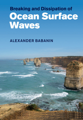 Breaking and Dissipation of Ocean Surface Waves 1108454771 Book Cover