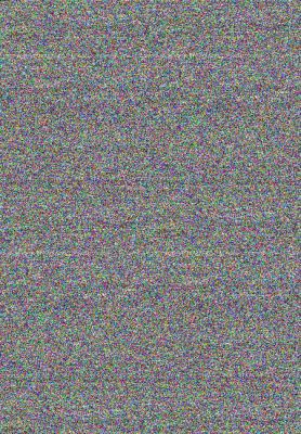 Pinky and Rex Go to Camp 0785706275 Book Cover