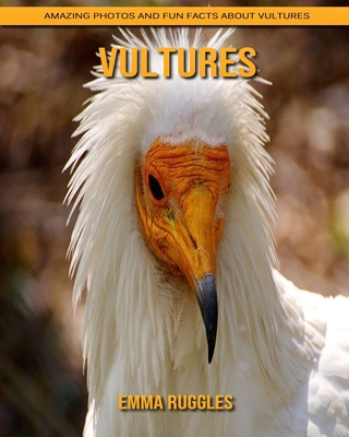 Vultures: Amazing Photos and Fun Facts about Vultures