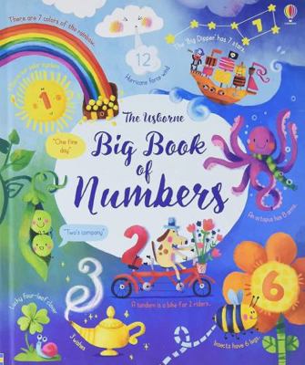 Big Book of Numbers 0794543383 Book Cover