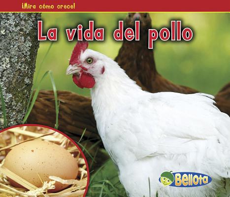 La Vida del Pollo = The Life of a Chicken [Spanish] 1432952846 Book Cover