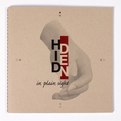 Paperback Hidden in Plain Sight Book