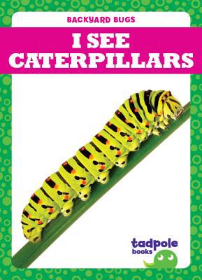 I See Caterpillars 1641287969 Book Cover