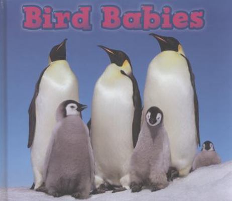 Bird Babies (Animal Babies) 1406259233 Book Cover