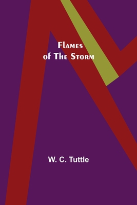 Flames of the Storm 9356018065 Book Cover