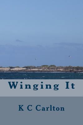 Winging It 0992732069 Book Cover