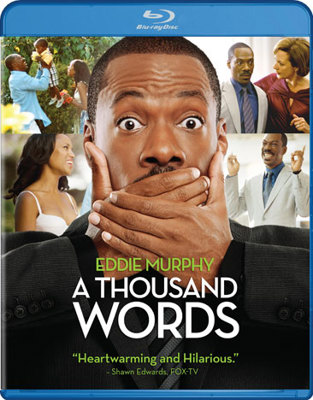 A Thousand Words            Book Cover