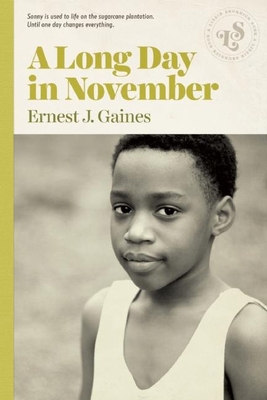 A Long Day in November 1939601029 Book Cover
