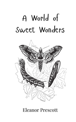 A World of Sweet Wonders 3690818656 Book Cover