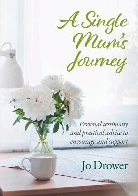 A Single Mum's Journey: Personal testimony and ... 0473471027 Book Cover