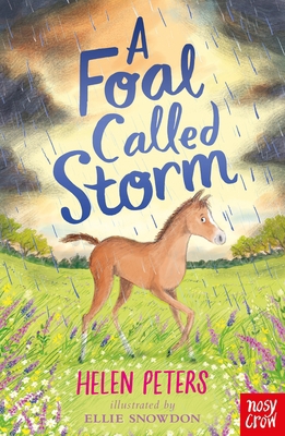 A Foal Called Storm 1788009517 Book Cover