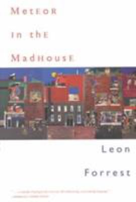 Meteor in the Madhouse 0810151146 Book Cover