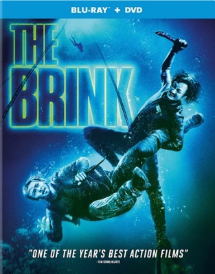 The Brink Book Cover