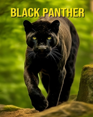 Black Panther: Fun and Amazing Pictures About B... B0CY8PVYL9 Book Cover