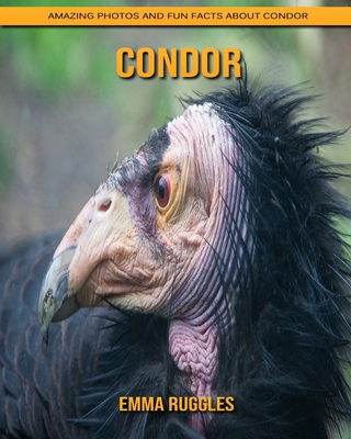 Paperback Condor: Amazing Photos and Fun Facts about Condor [Large Print] Book