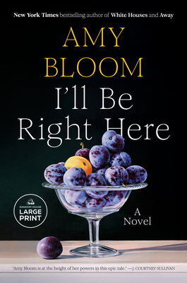 I'll Be Right Here [Large Print] B0DKW9T5LP Book Cover