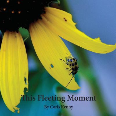 This Fleeting Moment 1540308510 Book Cover