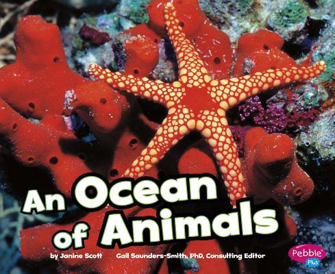 An Ocean of Animals 1429671513 Book Cover