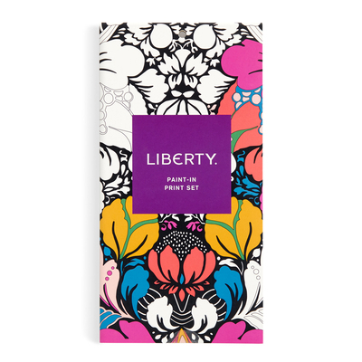 Liberty Paint-In Print Set 0735383243 Book Cover